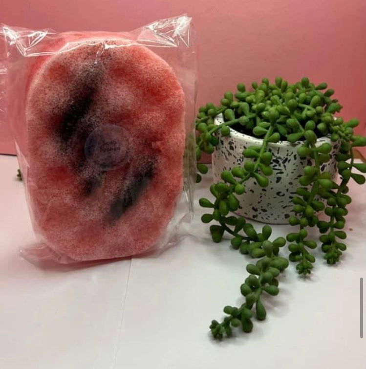 Soap Sponges