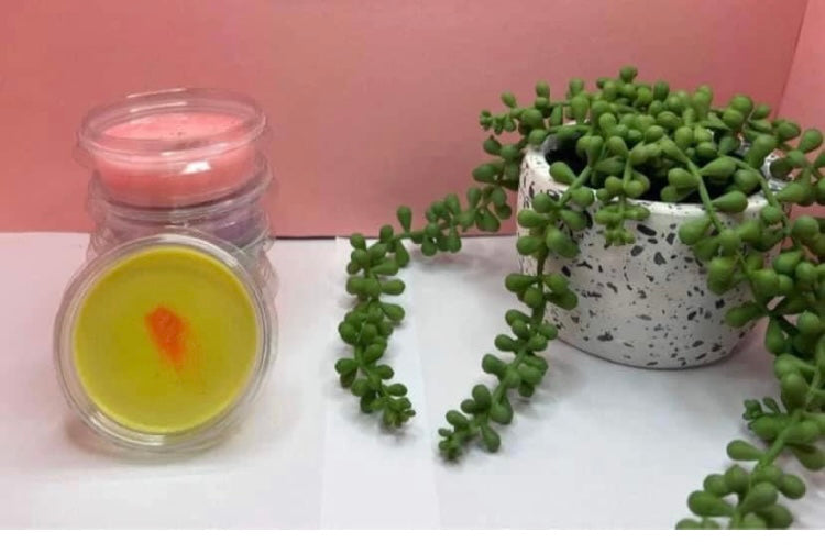 Wax Melt pots