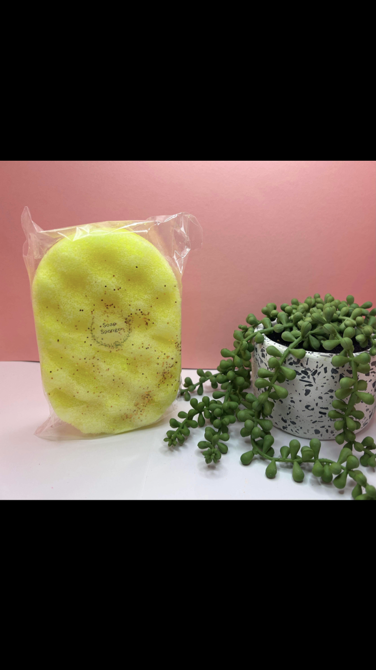 Soap Sponges